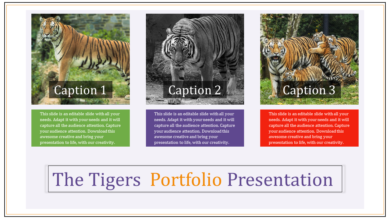 portfolio presentation powerpoint-The Tigers  portfolio presentation